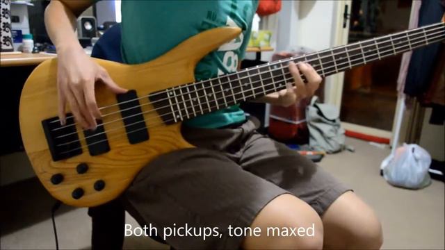DIY kit 5 String Bass Demo (part 1 of 2) смотреть онлайн