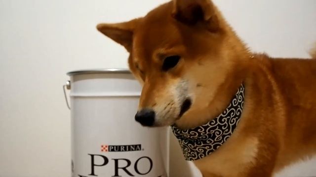 Корм Proplan / Подарок от Proplan / Магазин Старая Ферма смотреть онлайн