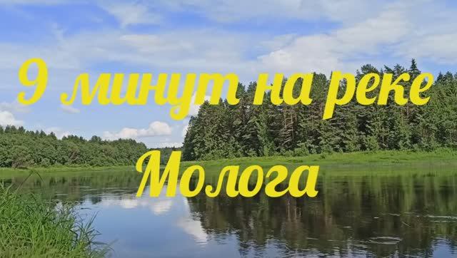 9 минут на реке Молога