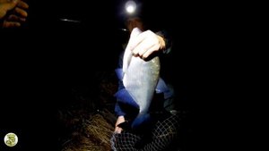 Рыбалка с ночёвкой на Западной Двине. Лещ в октябре