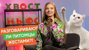 Кот-благотворитель и другие новости «Хвост Ньюс» #127