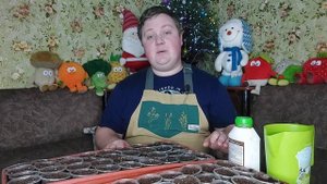 Открываю НОВЫЙ СЕЗОН!? #борисборисов #бегония