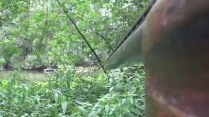 ОХОТА на УТКУ в Кемеровской области. Без добычи не остался, еще и грибов нарезал! Охота 2022.