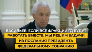 Васильев: вместе фракции решат задачи из послания президента Федеральному собранию