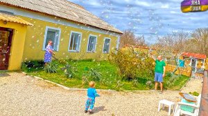 Мышь съела инкубатор для яиц! Два сюрприза для Масика! У нас лето! Теплый солнечный влог из Крыма!