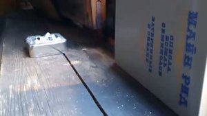 МР 512 тест ГП 120атм и пуль