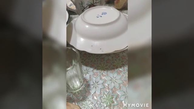 Жареное мясо лося на сковородке, быстро, просто, вкусно!