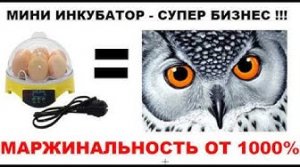 Обзор инкубатора на 7 яиц за 990р. Как начать бизнес по выведению птенцов дорогих пород птиц.