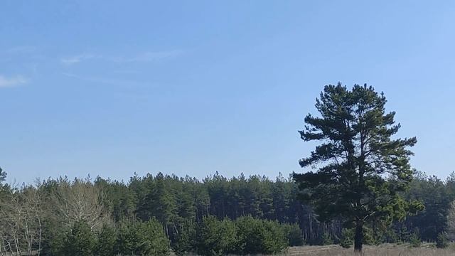 Народные приметы на Пасху. Пасха 2021. Как привлечь благополучие.