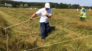 «Спораўскія сенакосы» — дзясяты па ліку фэст адбыўся на Палесьсі | Фестиваль «Споровские сенокосы»