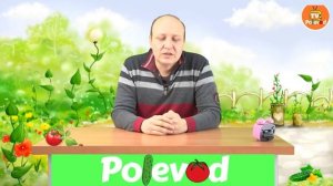 ПРИМЕНЕНИЕ АЗОТНЫХ УДОБРЕНИЙ