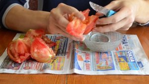 Как СОБРАТЬ семена ТОМАТОВ: правила сбора и заготовка