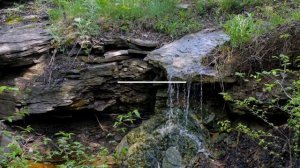 РЛП «Зуевский»