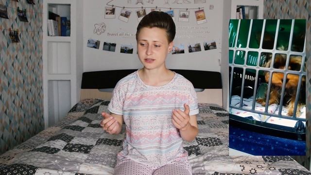 Как путешествовать с собакой в поезде: покупка билетов, необходимые документы и правила перевозки смотреть онлайн