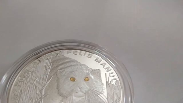 500 тенге 2014 "Манул" / 500 tenge 2014: "Felis Manul" смотреть онлайн