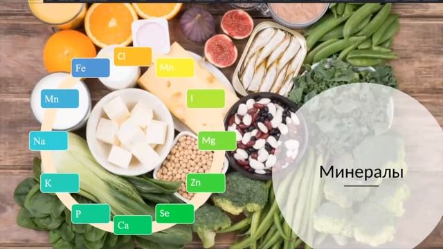 Основы диетологии собак и кошек