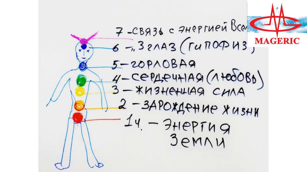 Бондарев В.В. Продукция Маджерик и психосоматика.