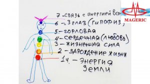 Бондарев В.В. Продукция Маджерик и психосоматика.