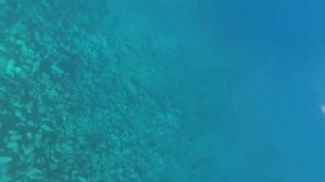 Экскурсия 12 островов. Фетхие. Fethiye 2020