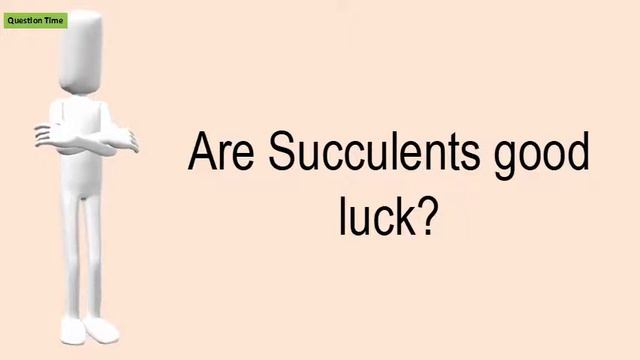 Are Succulents Good Luck? смотреть онлайн