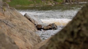 Карелия в фокусе. Вокнаволок
