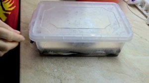 Рецепт засолки рыбки вакуумируем ставридку на зиму