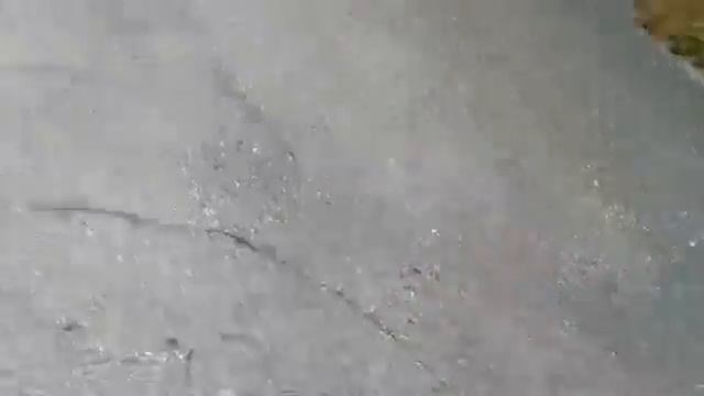 Пансионат ,,Кривск