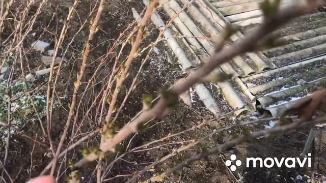 Николаев сейчас 11.03.22 время 16:00 смотреть онлайн