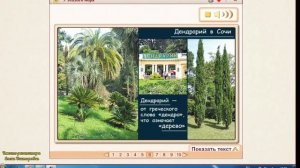 У теплого моря