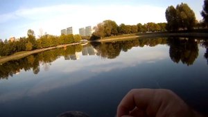 ОСЕННЯЯ РЕАЛЬНАЯ РЫБАЛКА В МОСКВЕ, НА ФЕСТИВАЛЬНЫХ ПРУДАХ В ПАРКЕ ДРУЖБЫ, В СЕНТЯБРЕ.