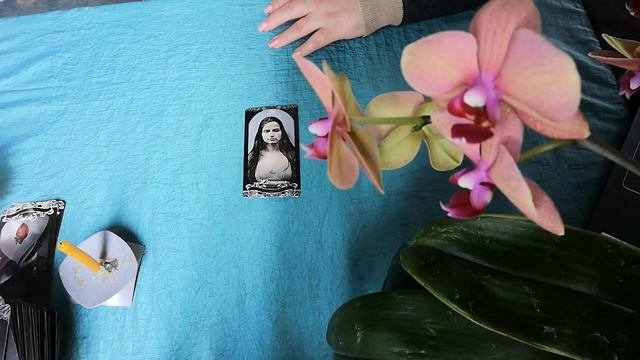 СНИМАЕМ ВЕНЕЦ БЕЗБРАЧИЯ. ВЕКОВУХА.ИЗБАВИТСЯ ОТ ОДИНОЧЕСТВА. ОБРЯД.ЧИСТКА.