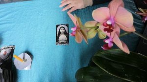 СНИМАЕМ ВЕНЕЦ БЕЗБРАЧИЯ. ВЕКОВУХА.ИЗБАВИТСЯ ОТ ОДИНОЧЕСТВА. ОБРЯД.ЧИСТКА.