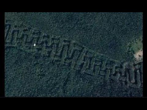 Выпотрошенная территория  Монстры золотодобычи