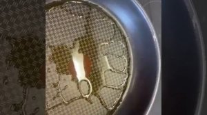 Гребешок в сливочном соусе. Морской гребешок. Рецепт.