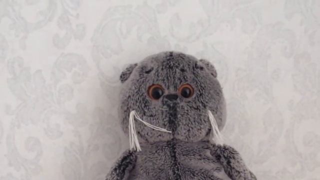 Приключения кота детектива "Агент на мягких лапах" #1