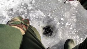 Зимняя рыбалка на гирлянду 2022