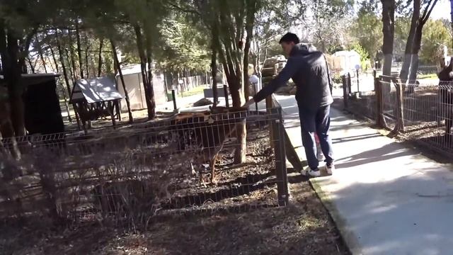 Парк миниатюр Крыма в Евпатории с ребенком. Путешествия с ребенком смотреть онлайн