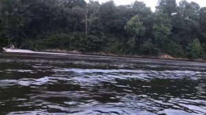 Yamaha XL760 test run on Duck River