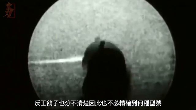 人類歷史上吃錯藥武器盤點，小動物化身武器上戰場，毛驢狗狗鴿子海豚，英國人連雞都不放過？