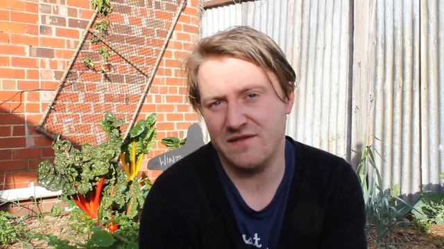 Matt Wilkinson from Pope Joan смотреть онлайн