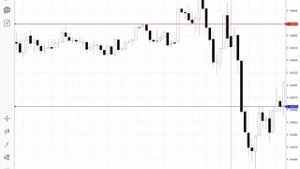 Хеджирование позиций: маленькие хитрости для успешной торговли forex