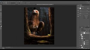 Photoshop manipulation tutorial | Eagle Hunter Manipulation | photoshop editing | PSD file free