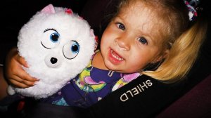 ✿ Тайная Жизнь Домашних Животных Детская Игровая Комната Indoor Playground The Secret Life of Pets