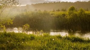 Афанасий Фет  "Весенний дождь"