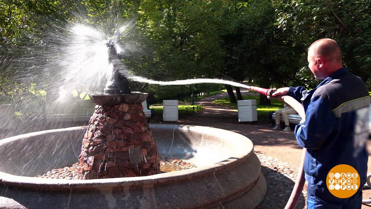 Санкт-Петербург готовится к празднику. Доброе утро. Суббота. Фрагмент выпуска от 29.07.2023