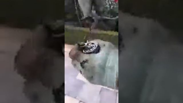 Бензонасос низкого давления.разборка смотреть онлайн