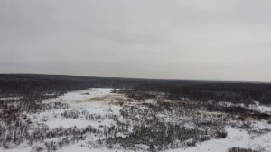 НИЖНИЙ ТАГИЛ . ЭКОЛОГИЧЕСКАЯ ситуация в нашем посёлке Северный.