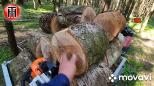 поездка в лес, на мотоблоке МОТОР СИЧ.