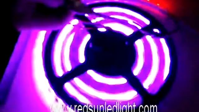 DC12V WS2811 60LEDm Addressable Strip смотреть онлайн