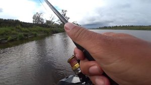 КОРЯЖНИК В ПРОТОКЕ ЗАБИТ РЫБОЙ!!! Рыбалка 2023 на Оби, джиг на подъеме воды.Съемка 4 сентября.
